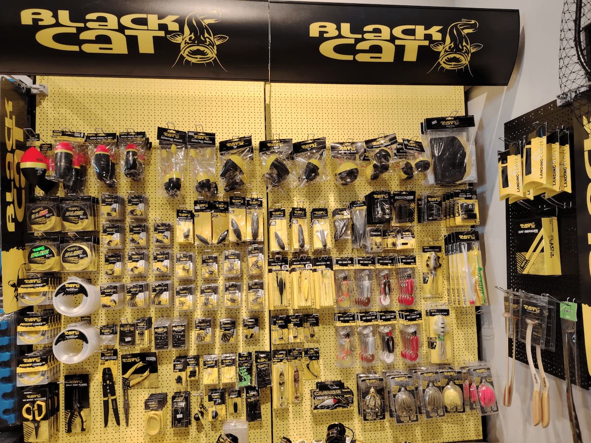 Notre partenaire Black cat